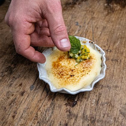 Panna cotta mit Sauerklee in klarer Sauce